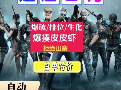 CF端游【TG】辅助